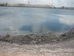 Lake at Paradeep Unit