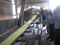 Iffco Paradeep Media Visit