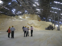 Iffco Paradeep Media Visit