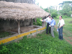 Women of Self Help Group at village Siula in Orissa