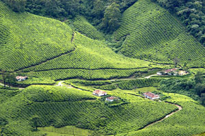 Munnar